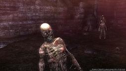 ꡼ No.003Υͥ / Wizardry Online̳ߥåĩ路Ƥޤޤ󽷤褦