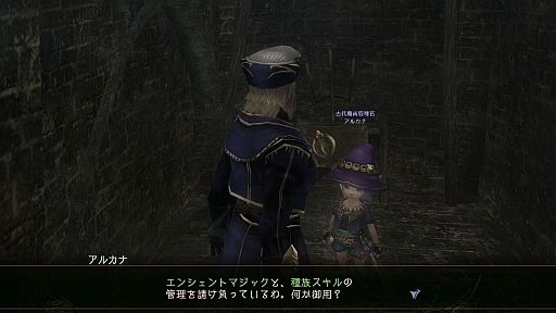 ���������꡼ No.002�Υ���ͥ������ / ��Wizardry Online�׿������ü쥹���뤬�����Ǥ���֥������ॹ����פ�����