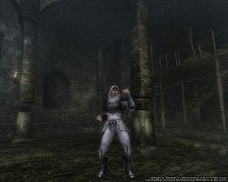 ���������꡼ No.002�Υ���ͥ������ / ��Wizardry Online�ס��ۥ磻�ȥ��ե����˿����Х����֥ۡ��꡼�ץ��åȤ��о�