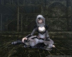 ���������꡼ No.003�Υ���ͥ������ / ��Wizardry Online�ס��ۥ磻�ȥ��ե����˿����Х����֥ۡ��꡼�ץ��åȤ��о�