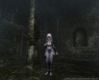 ���������꡼ No.004�Υ���ͥ������ / ��Wizardry Online�ס��ۥ磻�ȥ��ե����˿����Х����֥ۡ��꡼�ץ��åȤ��о�