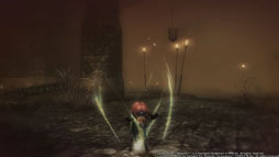 ���������꡼ No.002�Υ���ͥ������ / ��Wizardry Online���������åץǡ��Ȥ�»ܡ�10����ξ�̥����뤬������