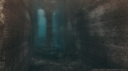 ꡼ No.006 | Wizardry OnlineסΡȥ󥸥ȰסɾҲPVå