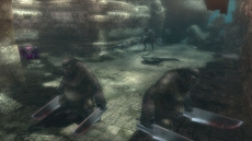 ���������꡼ No.001�Υ���ͥ������ / ��Wizardry Online�׺��絬�ϤȤʤ�����٥��󥸥��ȥ��󥸥���Ȱ��סɤ���Ⱦ��������������ά�侩��٥��30�ʾ�