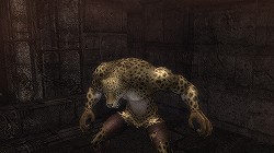 ꡼ No.023 | Wizardry Onlineפ˾̿6ͥѡƥƥबˤʤ뺣ΥåץǡŸˤĤƱĳȯ˥󥿥ӥ塼