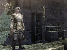 ꡼ No.012Υͥ / Wizardry Onlineץåץǡȡ֥꡼ζפ»ܡ˾ξ֥̿饤ס֥ӥספ