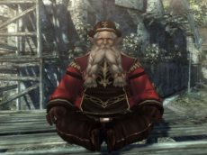 ���������꡼ No.009�Υ���ͥ������ / �Ĥ��˾�̿��֥����ɡס��֥˥󥸥�׼�������Wizardry Online�פǥ��åץǡ��ȡ֥����꡼��ζ���������2�Ƥ������»�