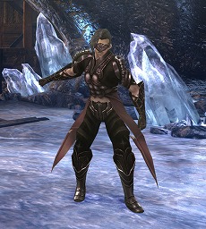 ���������꡼ No.002�Υ���ͥ������ / ��Wizardry Online�ס����졼�����ǡ�����о줹�뿷���󥸥������ƶ���פ�����