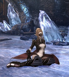 ���������꡼ No.005�Υ���ͥ������ / ��Wizardry Online�ס����졼�����ǡ�����о줹�뿷���󥸥������ƶ���פ�����