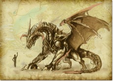 ꡼ No.005 | Wizardry Online׿ȡϣѻաפ޹䥨Ȥʤ¿̤ʹưǽǽ