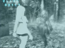 ꡼ No.010 | Wizardry Onlineפƥȥ饹ɥХ󥹥ȡɤդɤפʤɥ٥Ȥ䥭ڡʣ»