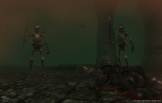 ꡼ No.005 | Wizardry Onlineסȡ꡼󥸥ֿʥµܡפ俷ƥ֥ե饰ȡפߤספʤǯǯϤΥ٥Ȥ