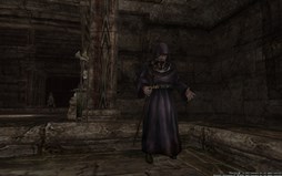 ꡼ No.003Υͥ / Wizardry OnlineסߡֳȸۤΥ६ץƤΰ