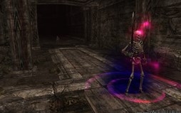 ꡼ No.004Υͥ / Wizardry OnlineסߡֳȸۤΥ६ץƤΰ