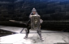 ꡼ No.008 | Wizardry OnlineײΥܥ󥹥ãо줹۷פˡ󥸥֥㡼ǤµܡפΥƥȤ