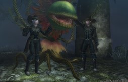 ꡼ No.003 | Wizardry OnlineסХ֥ᥤо