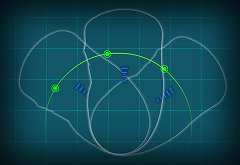 画像ギャラリー No.002のサムネイル画像 / 新型マウス「DRTCM15」のティザーサイト更新。マウスのシルエット&センサーの位置が明らかに?