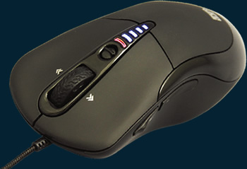 ꡼ No.003Υͥ / DHARMAPOINTοޥˡBLACKSHOTפ拾°