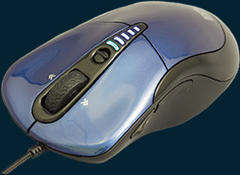 ꡼ No.004Υͥ / DHARMAPOINTοޥˡBLACKSHOTפ拾°