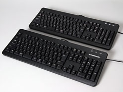 ꡼ No.010Υͥ / 3000ߤǤ꤬DHARMAPOINTܡɡDRKB109ץӥ塼ȥ꡼Ծ̿о줫