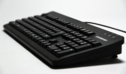 ꡼ No.020Υͥ / 3000ߤǤ꤬DHARMAPOINTܡɡDRKB109ץӥ塼ȥ꡼Ծ̿о줫