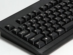 ꡼ No.021Υͥ / 3000ߤǤ꤬DHARMAPOINTܡɡDRKB109ץӥ塼ȥ꡼Ծ̿о줫