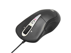 ꡼ No.002Υͥ / DHARMAPOINTΥޥȥޥѥåɤForsaken World׿侩ǧ