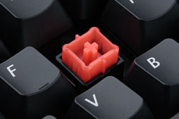 ꡼ No.004 | N륪СбDHARMAPOINTʥܡɤ˥ƥ󥭡쥹ǥ뤬о졣1ܤ4980ߤȯ