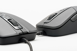 ꡼ No.011Υͥ / DHARMAPOINT1ʤȤʤޥDPTM37BKץӥ塼褷ֻפϥޡδԤ˱뤫