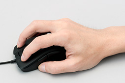 ꡼ No.020Υͥ / DHARMAPOINT1ʤȤʤޥDPTM37BKץӥ塼褷ֻפϥޡδԤ˱뤫