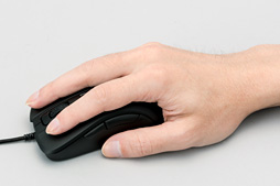 ꡼ No.021Υͥ / DHARMAPOINT1ʤȤʤޥDPTM37BKץӥ塼褷ֻפϥޡδԤ˱뤫