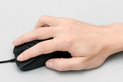 ꡼ No.022Υͥ / DHARMAPOINT1ʤȤʤޥDPTM37BKץӥ塼褷ֻפϥޡδԤ˱뤫