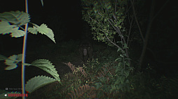 Sector 13: Haunted Woods