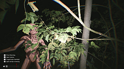 Sector 13: Haunted Woods
