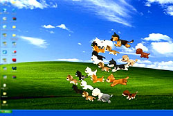 ꡼ No.029 | TGS 2009ѥѥӥꥪǸĤȥޤȤƾҲ