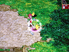 ������#006�Υ���ͥ���/��TAIPEI2008��09�Ϲ�����֥饰�ʥ�������饤��ס� RUN UP�Ρ��»����� ONLINE��