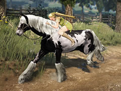 画像ギャラリー No.002のサムネイル画像 / G-GEAR，ゲーム内アイテムが付属した「黒い砂漠」推奨PCを発売