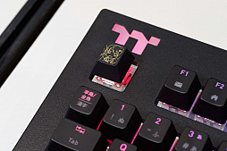 ���������꡼ No.005�Υ���ͥ������ / ��TGS 2018�Ϥ䤿�������Ĥ��⤿��Υ����ȥåפ����ĥ���֡����عԤäơ��Ĥ��⤿��Υ����ȥåפ�������褦