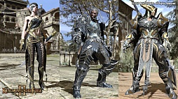 ���������꡼ No.003�Υ���ͥ������ / ��Kingdom Under Fire II�ס���Ŵʿ���ߥå����Υץ쥤�ࡼ�ӡ���������