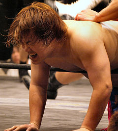 ������#002�Υ���ͥ���/�˿��ǥ����ΤΥ�����ҥҥ硼��¶�λ������֤���⤳��⡤�����󤬰�����