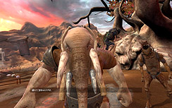 ꡼ No.013 | ܸ˺ʤȥħΤɤĤ礤󡤡֥ å ܸǡפΥӥ塼Ǻ