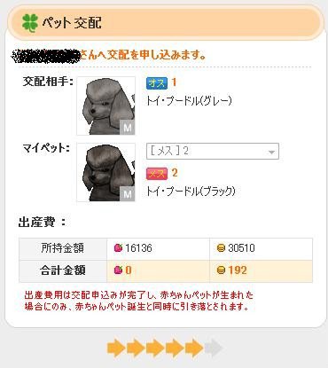 ������#002�Υ���ͥ���/���ָ��ꡪ����ntomo�ץڥå�Ʊ�Τ���ۤ�������֤��������