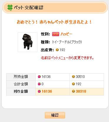 ������#003�Υ���ͥ���/���ָ��ꡪ����ntomo�ץڥå�Ʊ�Τ���ۤ�������֤��������