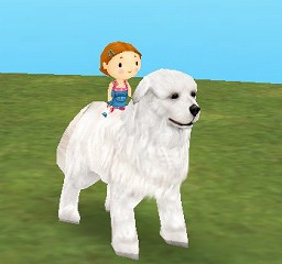 ������#004�Υ���ͥ���/���ָ��ꡪ����ntomo�ץڥå�Ʊ�Τ���ۤ�������֤��������