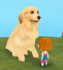 ������#005�Υ���ͥ���/���ָ��ꡪ����ntomo�ץڥå�Ʊ�Τ���ۤ�������֤��������