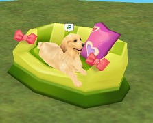 ������#006�Υ���ͥ���/���ָ��ꡪ����ntomo�ץڥå�Ʊ�Τ���ۤ�������֤��������