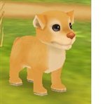 画像集#003のサムネイル/「ntomo」ルームシェア機能実装&「サファリ動物」第二弾登場