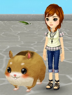 ���������꡼ No.005�Υ���ͥ������ / ��ntomo����ڤβȤ�����Ǥ���������������ƥ�����������о�