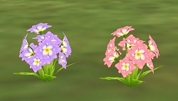 ���������꡼ No.005�Υ���ͥ������ / ��ntomo�פ˽����衣����ɽ���Ǥ��뿷�����ƥ�ʤɤ���������