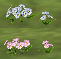 ���������꡼ No.006�Υ���ͥ������ / ��ntomo�פ˽����衣����ɽ���Ǥ��뿷�����ƥ�ʤɤ���������